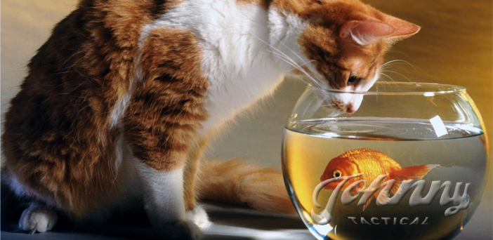 Life In The Fishbowl: How To Avoid An Ambush And Stay Alive