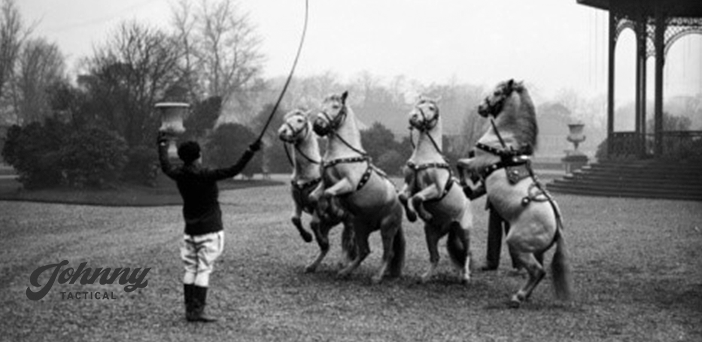 One-Trick Ponies And The Seniority Myth